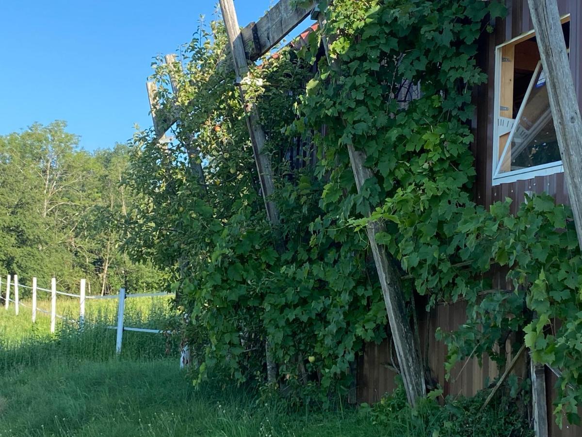 Annahof Apartman Argenbuhl Kültér fotó